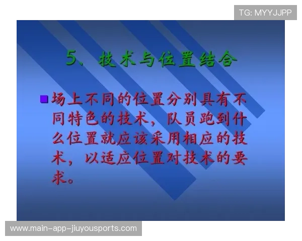 中国足球国家队战术板块可视化技术使用实例研究，足球技战术分析软件